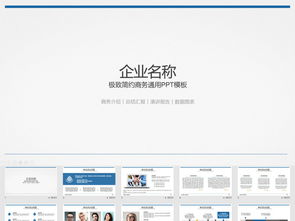 公司介绍产品销售案例展示报告ppt模板下载 课件编号 26951207 计划总结